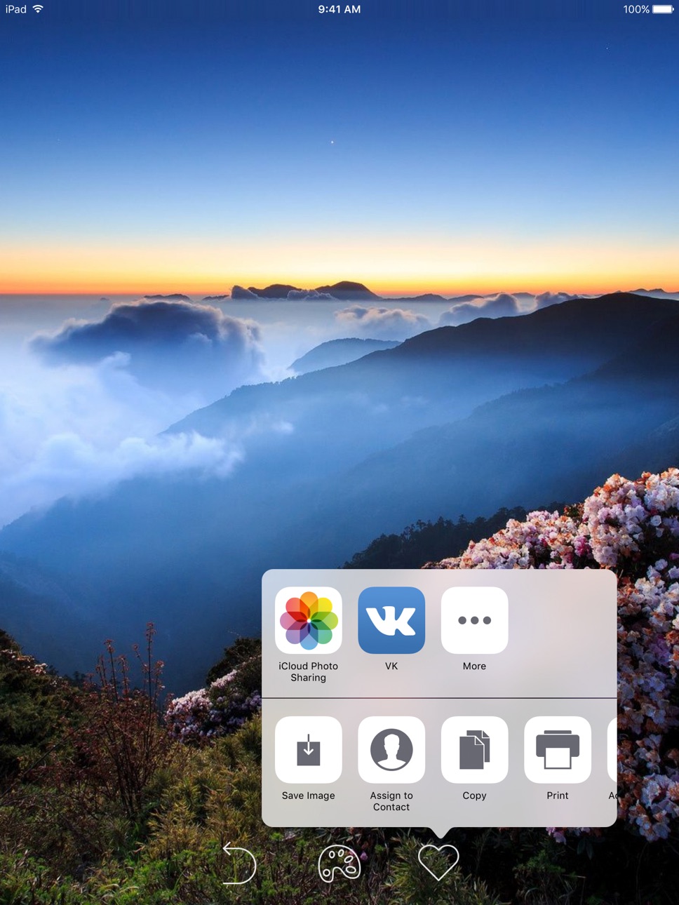 iPad screenshot