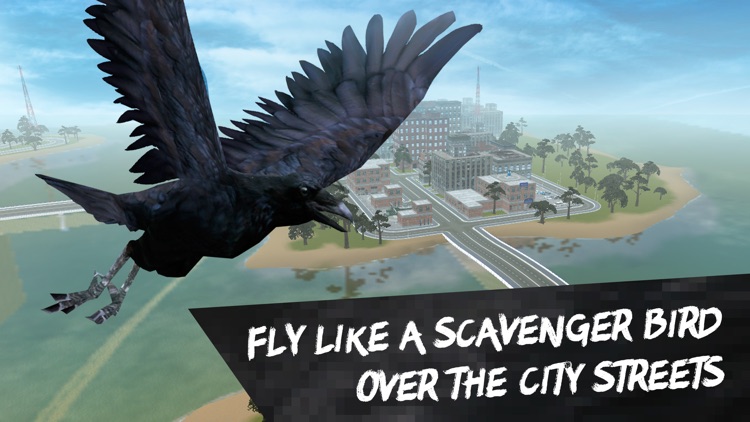 City Crow Simulator 3D Full