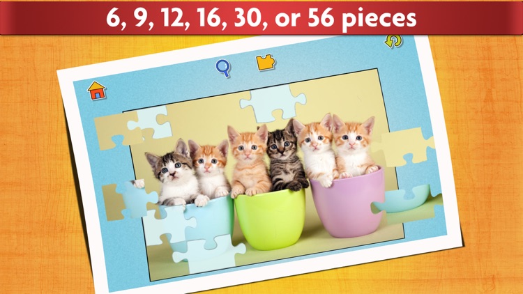 Cat Puzzles for Kids - Relaxing photo picture jigsaw puzzles for kids and adults