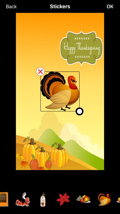 Thanksgiving Greeting Cards Maker screenshot-3