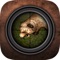 Virtual Hunting : Bear