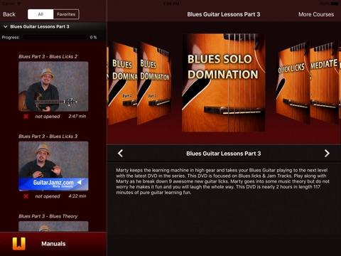 Blues Domination Lesson Series screenshot 2