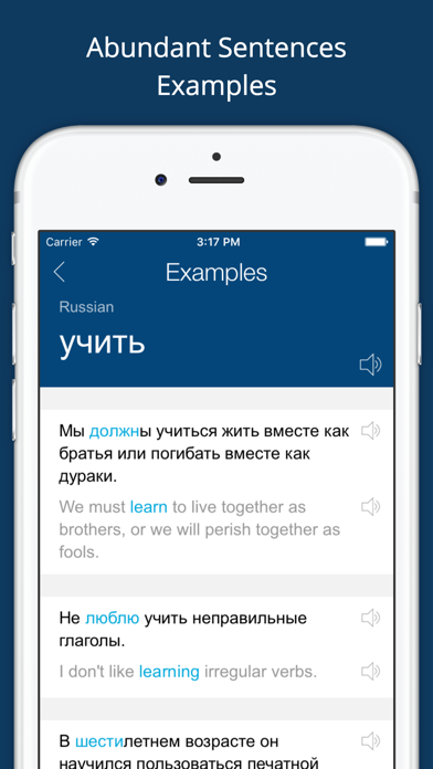 Russian English Dictionary Pro Screenshot