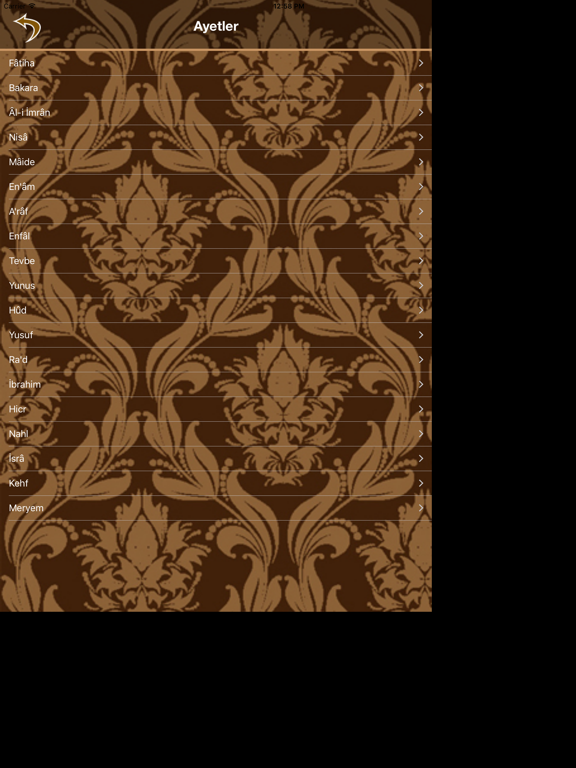 Screenshot #6 pour Dualar, Sureler, Ayetler, Hadisler