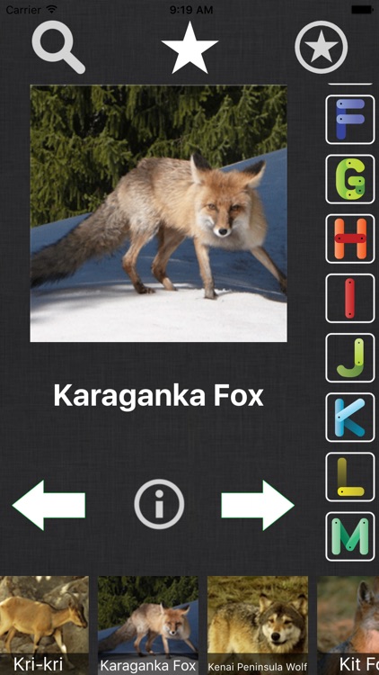 Animal Book - Information Of A-Z Animals Species