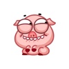 Winky Piggy - pig sticker pack for iMessage