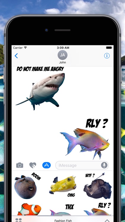 Fashion Fish