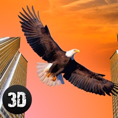 Activities of City Eagle Simulator 3D Full