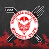 Hinsdale Central Hockey Club