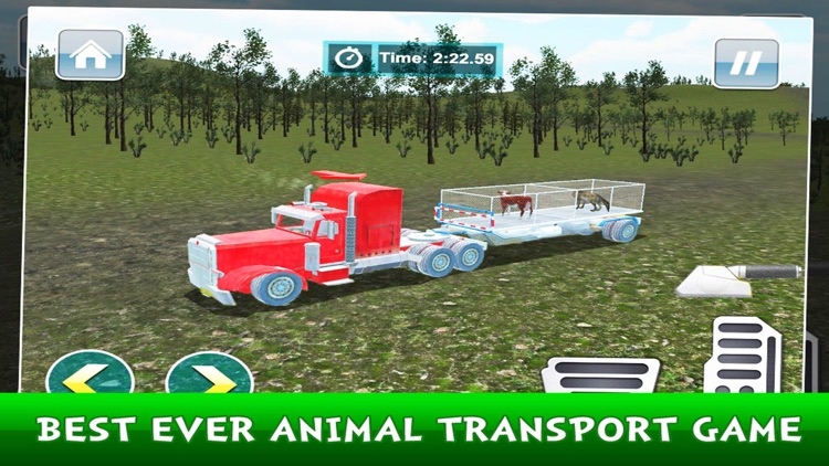 Transport Truck Animals
