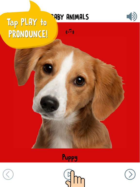 Screenshot #5 pour First Words for Baby: Animals