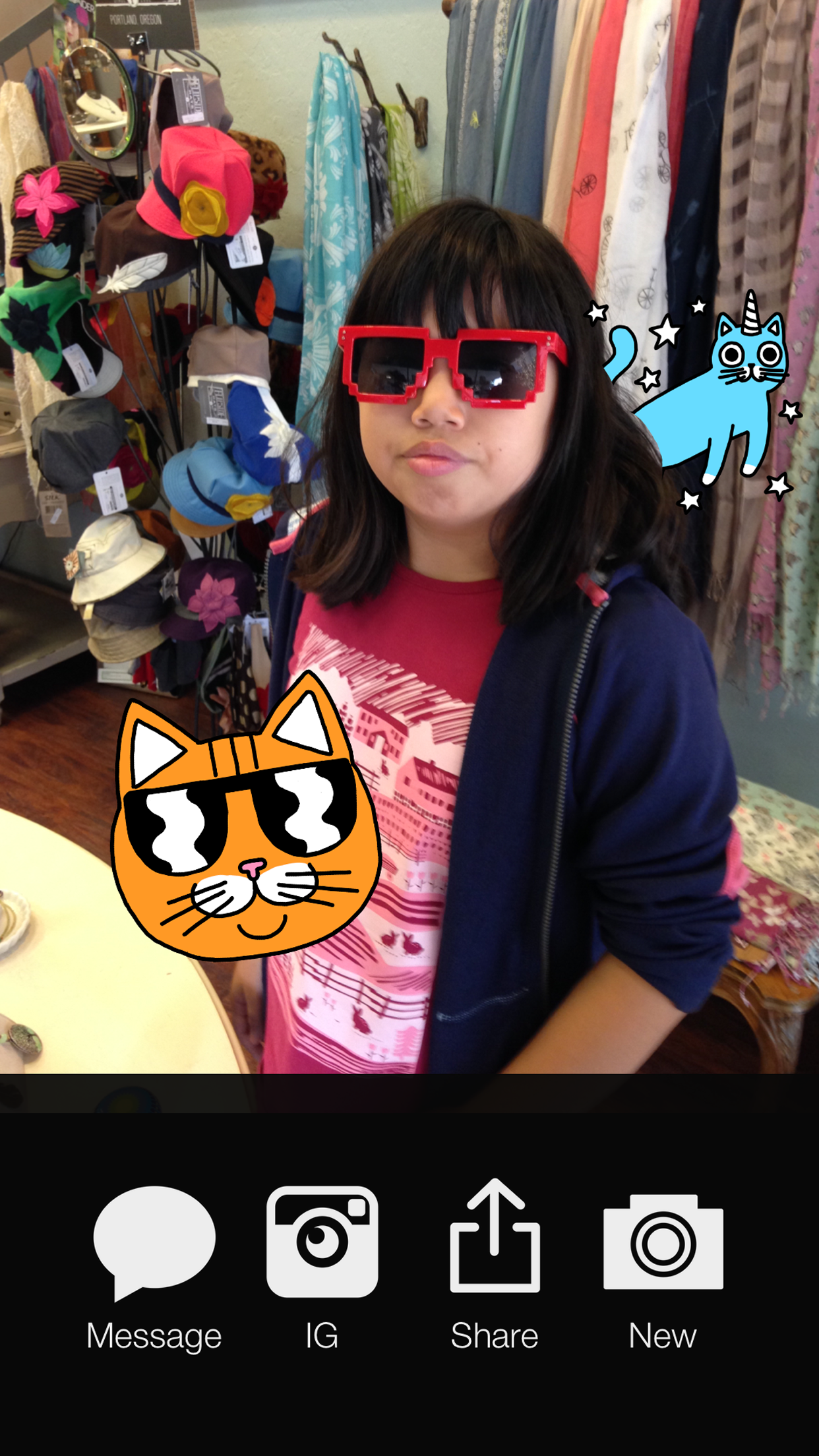 Cat Stickers for Messages & Photos