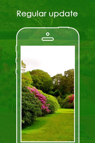Best Yard & Garden Catalog | Free Landscaping idea screenshot 4