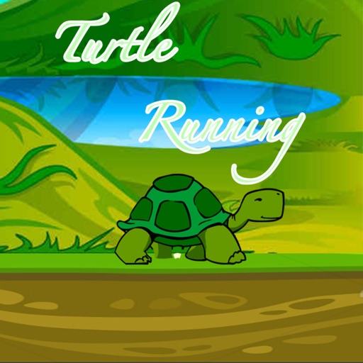Turtle Running Icon