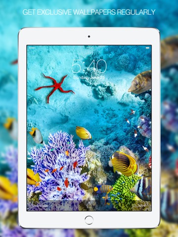 Fish Pictures – Fish Wallpapers & Backgroundsのおすすめ画像3