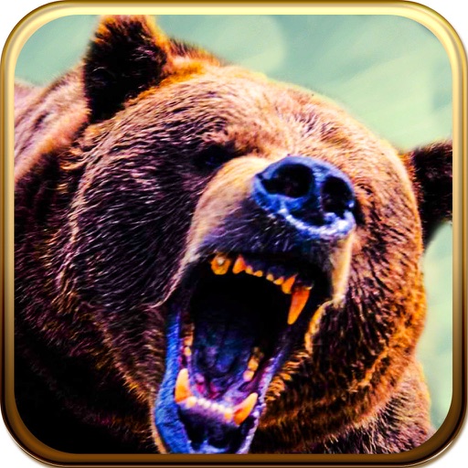 Bear Hunter's Heaven Pro : Real Hunter Attack icon