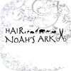 HAIR NOAH'S ARK