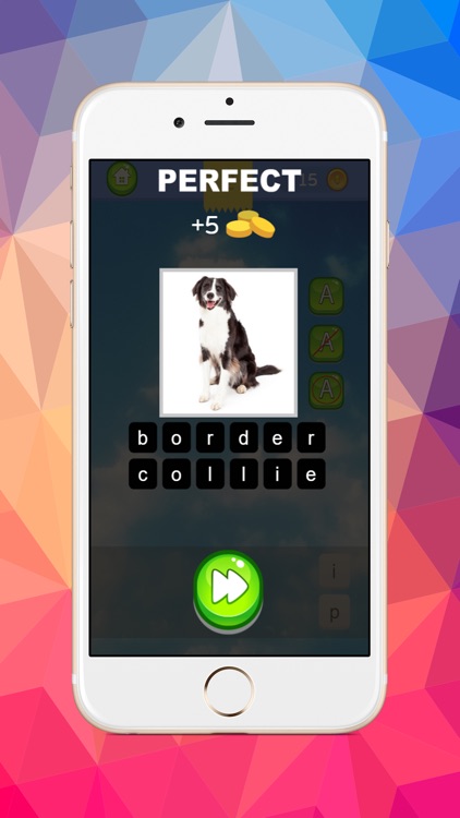 Dog images compare word guessing exercise quiz screenshot-4