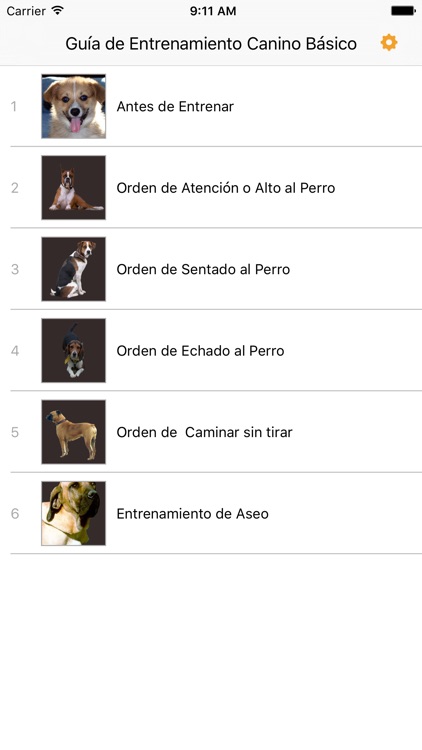AudioGuía de Entrenamiento Canino Básico