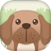 Puppy Connect – most vibrant addictive brain challenging free puzzle match game