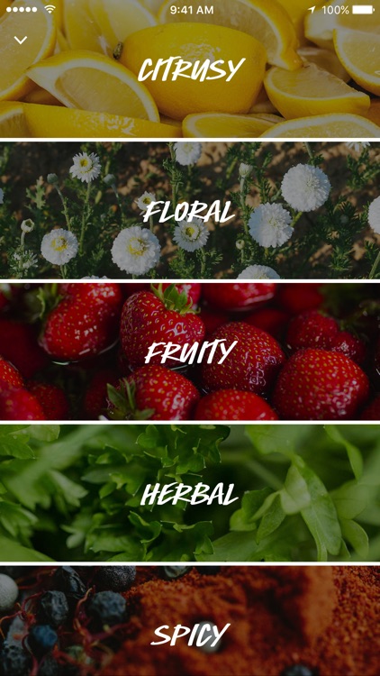 Lush Cosmetics