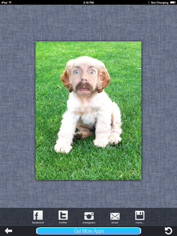 Dog Me! iPad screenshot