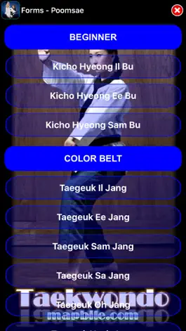 Game screenshot Taekwondo WTF hack