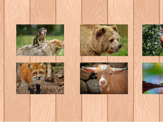 Animal Jigsaw Puzzle For kids and Adults iPad screenshot