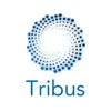 Tribus Team App Delete