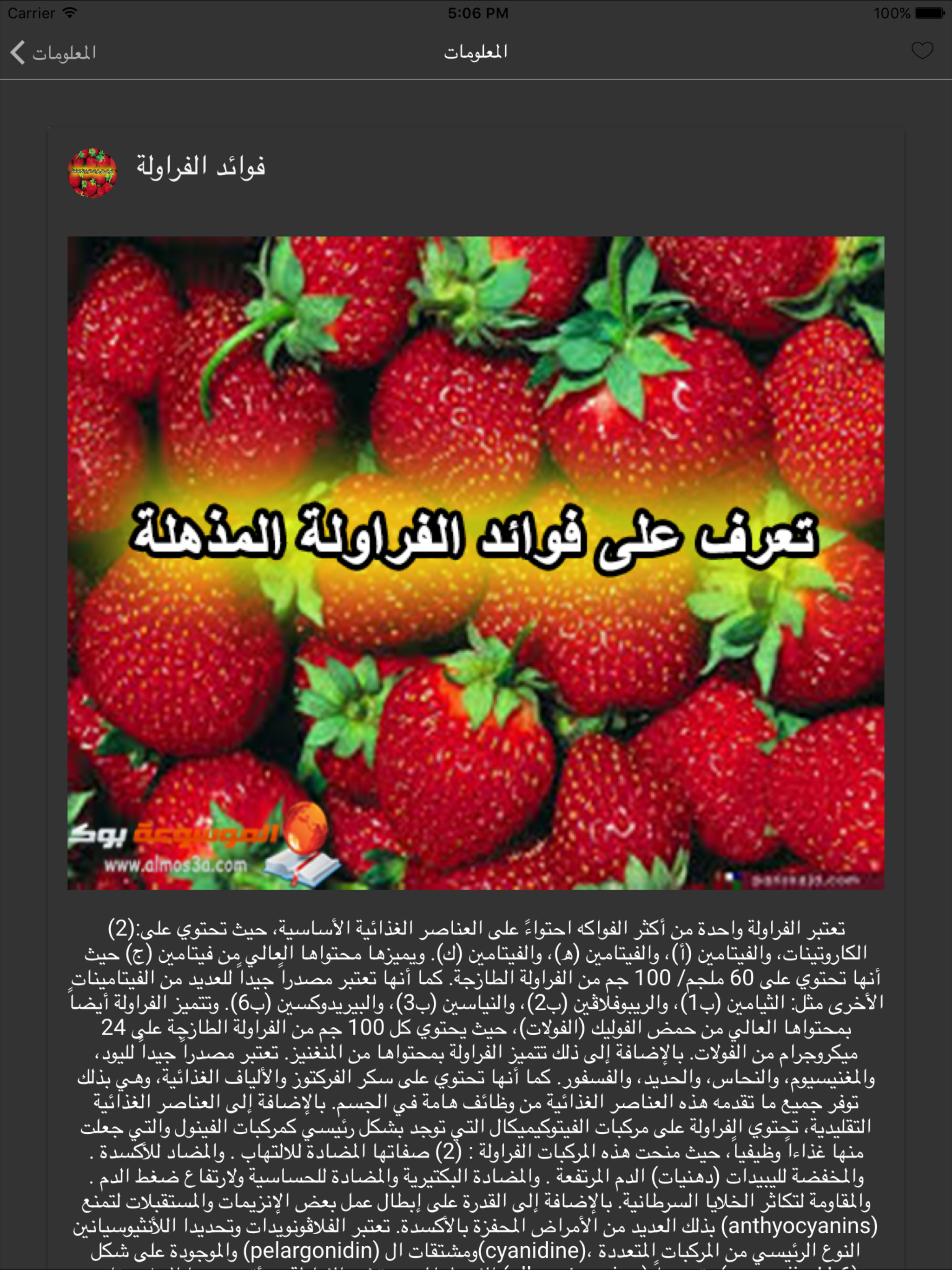 معلومات غذائية