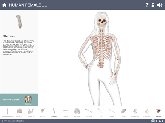 Build a Body: Biology Systems iPad app afbeelding 2