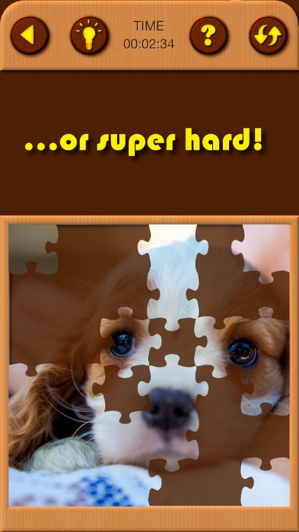 Puppy Pet Jigsaw Puzzle Cute Baby Dog Animal Games screenshot-3