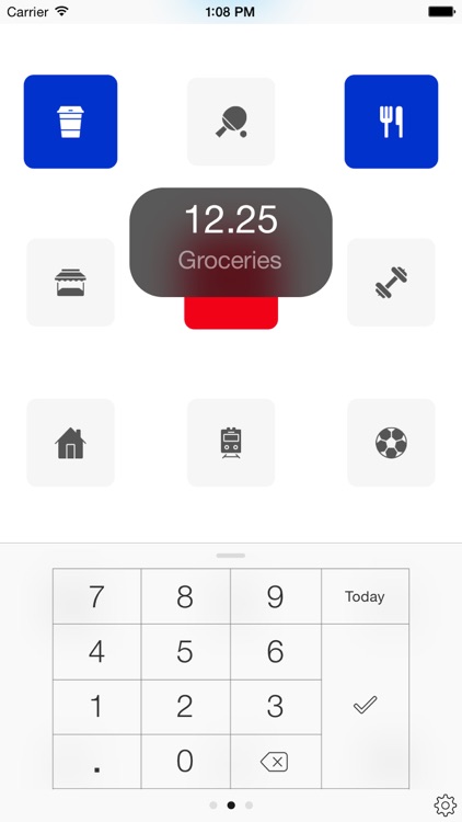 Next for iPhone - Track your expenses & finances screenshot-3