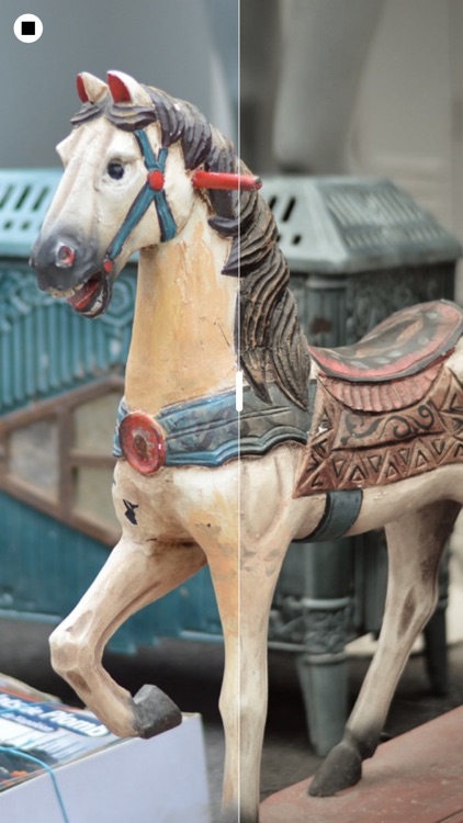 Photo Before/After Show