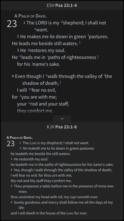 NRSV Bible by Olive Tree