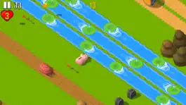 Game screenshot Road Crossing Adventure apk