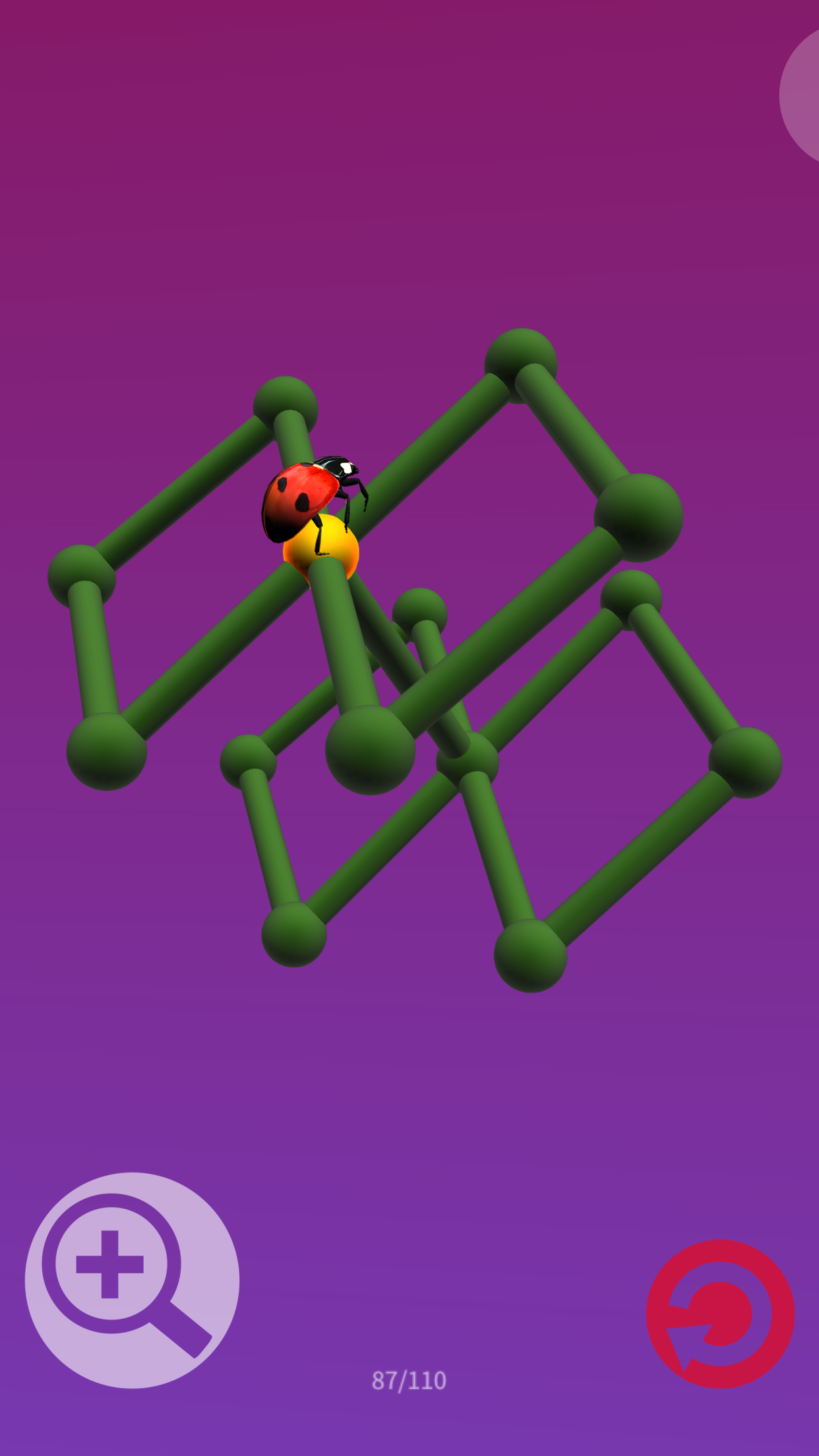 Ladybug Pathfinder