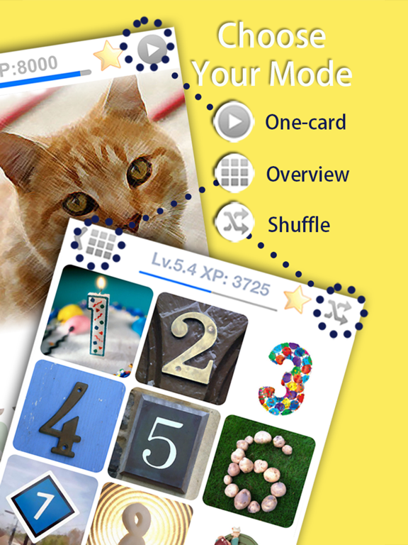 Learn Korean Vocabulary Words & Phrases FlashCards iPad screenshot 4 - Education app