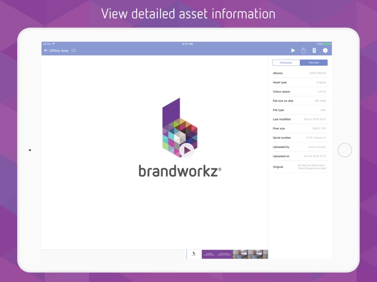 Brandworkz - Digital Asset Management screenshot-3