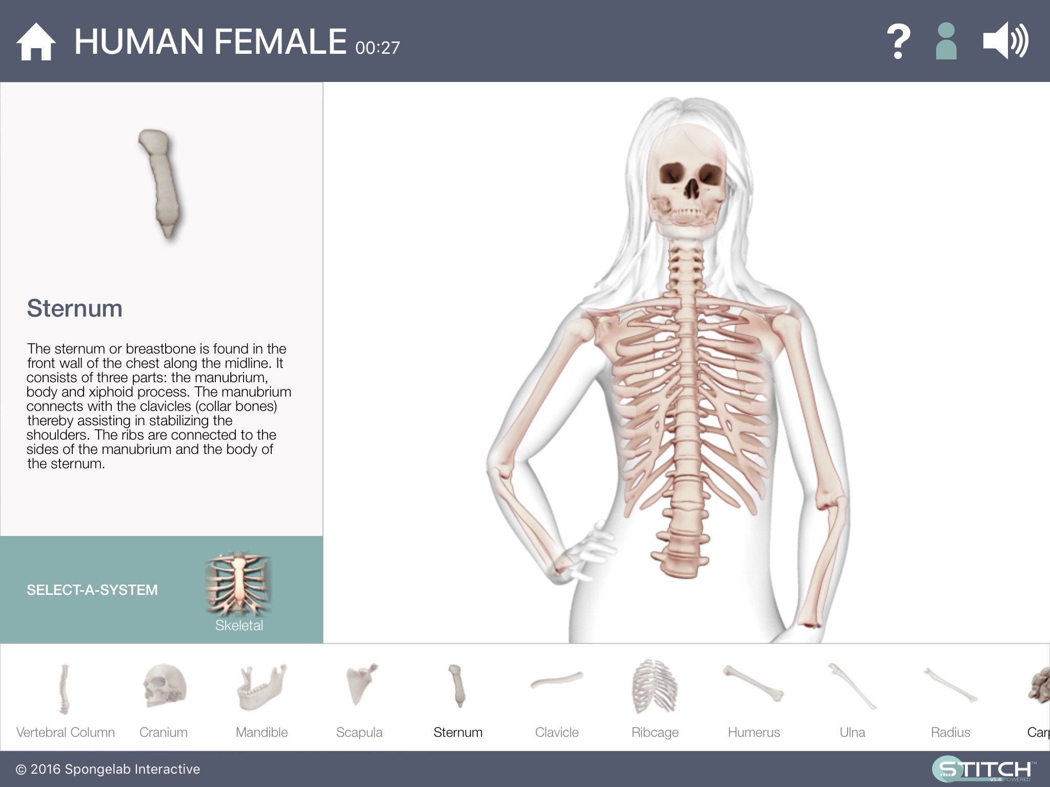 Build a Body: Biology Systems screenshot 2