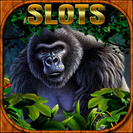 Gorilla casino slots – Spin with wild animals iOS App