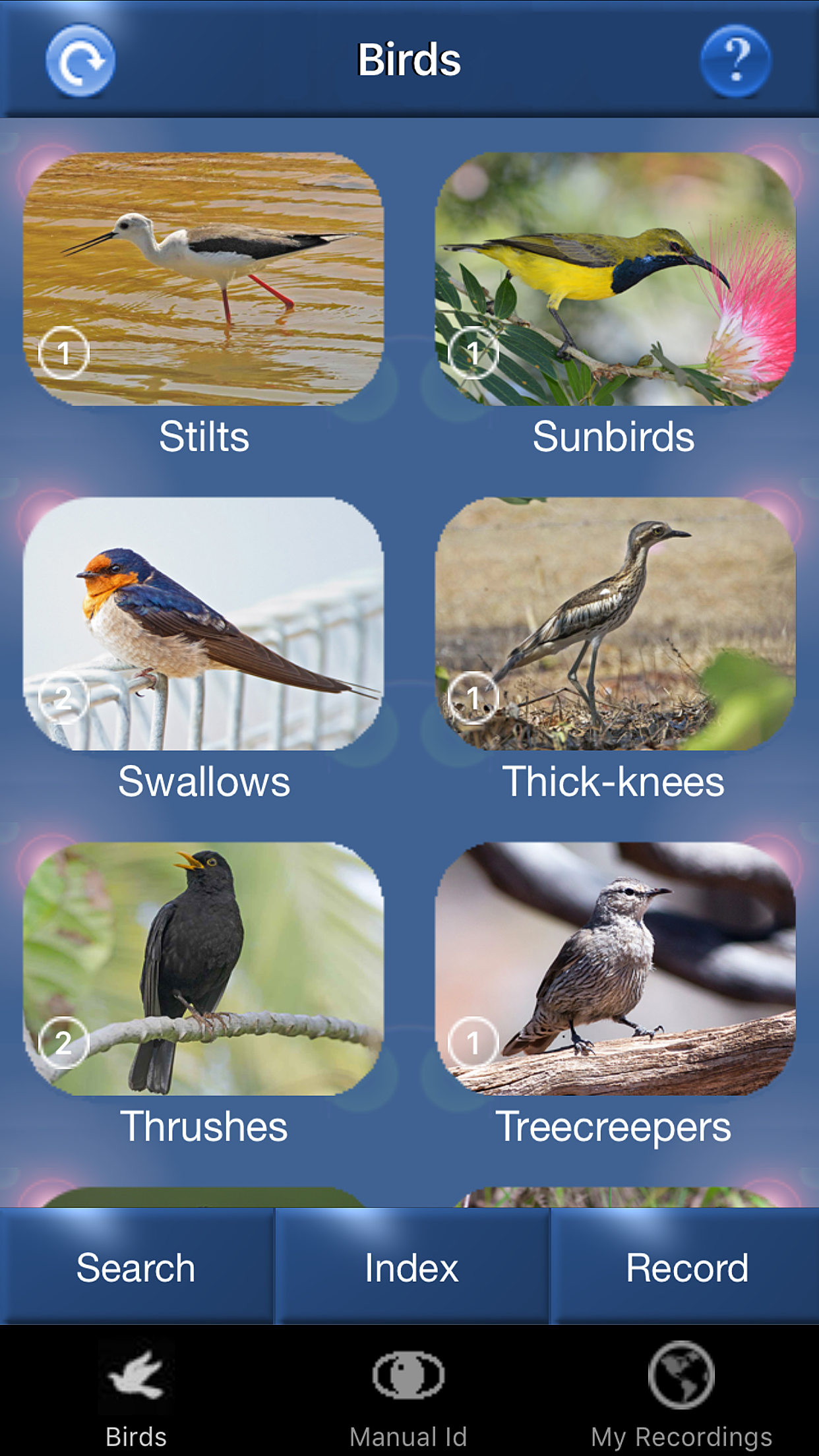 Bird Song Id Australia - Automatic Recognition