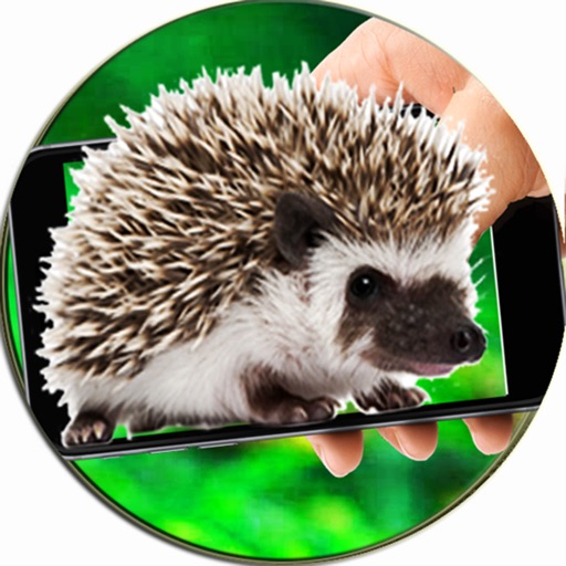 Hedgehog On Hand Screen Fun icon