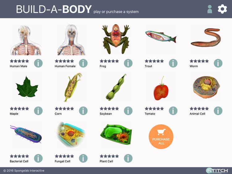 Build a Body: Biology Systems screenshot-0