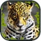 Ultimate Wild Savanna-Lion Fox & Cheetah Simulator