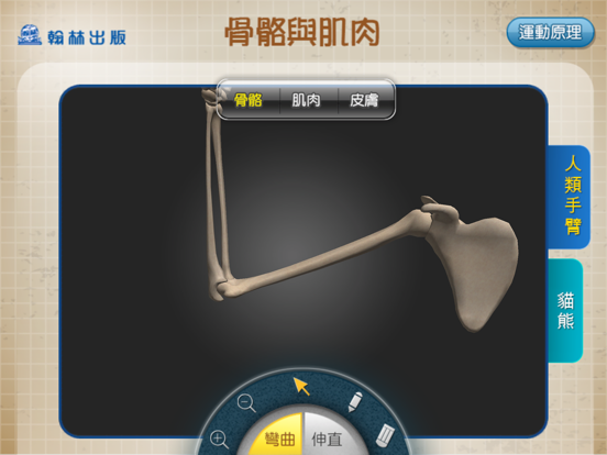 Screenshot #6 pour 3D骨骼與肌肉