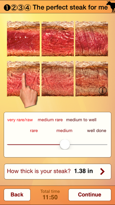 Steak Master - Perfect steaks Screenshot