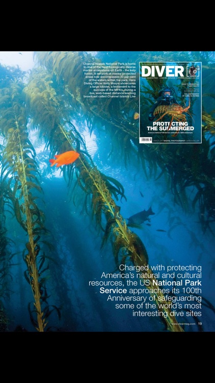 DIVER mag
