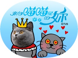 TVB全新網絡平台myTV SUPER 讓你隨時隨地收看精彩頻道及點播節目,包括TVB最新綜藝及劇集。台慶劇《來自喵喵星的妳》由陳豪、胡定欣及田蕊妮三位視帝視后主演,搞鬼得嚟堅認真,快下載鬼馬《喵喵星》貼圖,化身成為喵星人!