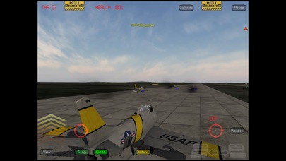 GSIII - Flight Simulator - Heroes of the MIG Alley Screenshot
